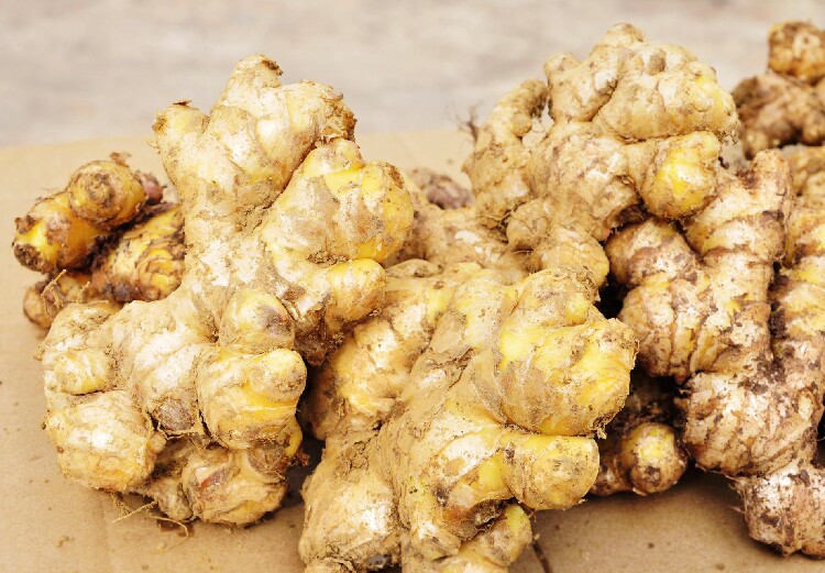 小黄姜 生姜 云南罗平土姜 月子姜黄姜老姜 新鲜生姜500g上海发货