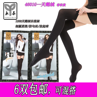 永春4601G女士春秋常规款120D天鹅绒长统袜学院风性感高筒袜