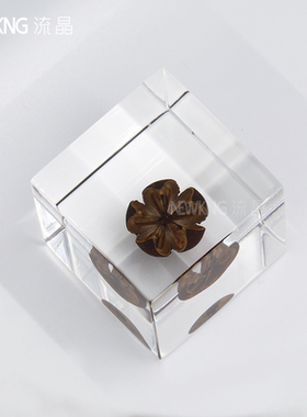 植物标本亚克力桌面摆件定制