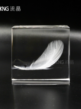 植物立方体标本亚克力桌面摆件