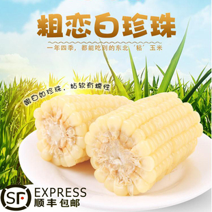 粗恋年香玉白珍珠粘玉米速冻甜糯玉米儿童孕妇爱吃的一箱16穗