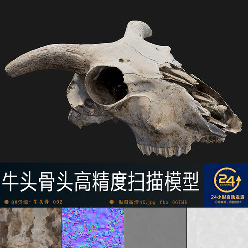 动物牛头骨头2高清贴图模型材质PBR4K纹理影视游戏次世代场景道具