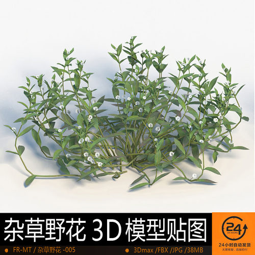 杂草野花-005模型3DMAX环境效果图影视游戏次世代场景地形建模