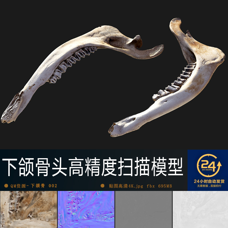 动物下颌骨头2高清贴图模型材质PBR4K纹理影视游戏次世代场景道具