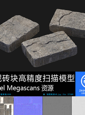 水泥砖-006扫描模型贴图 街道铺砖MAYA UE游戏次世代水泥砖资产