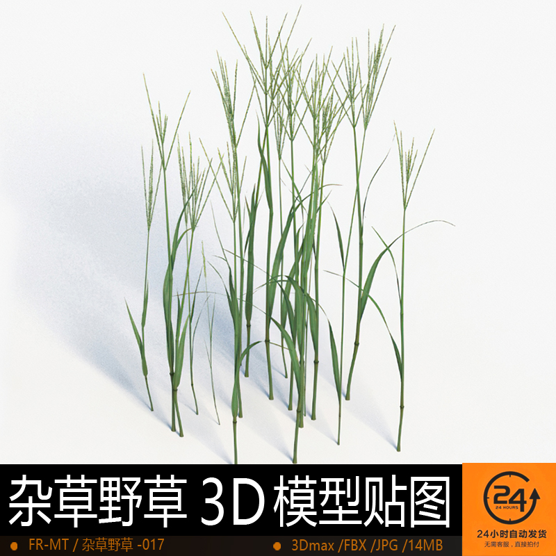 杂草野草-017模型3DMAX环境效果图影视游戏次世代场景地形建模
