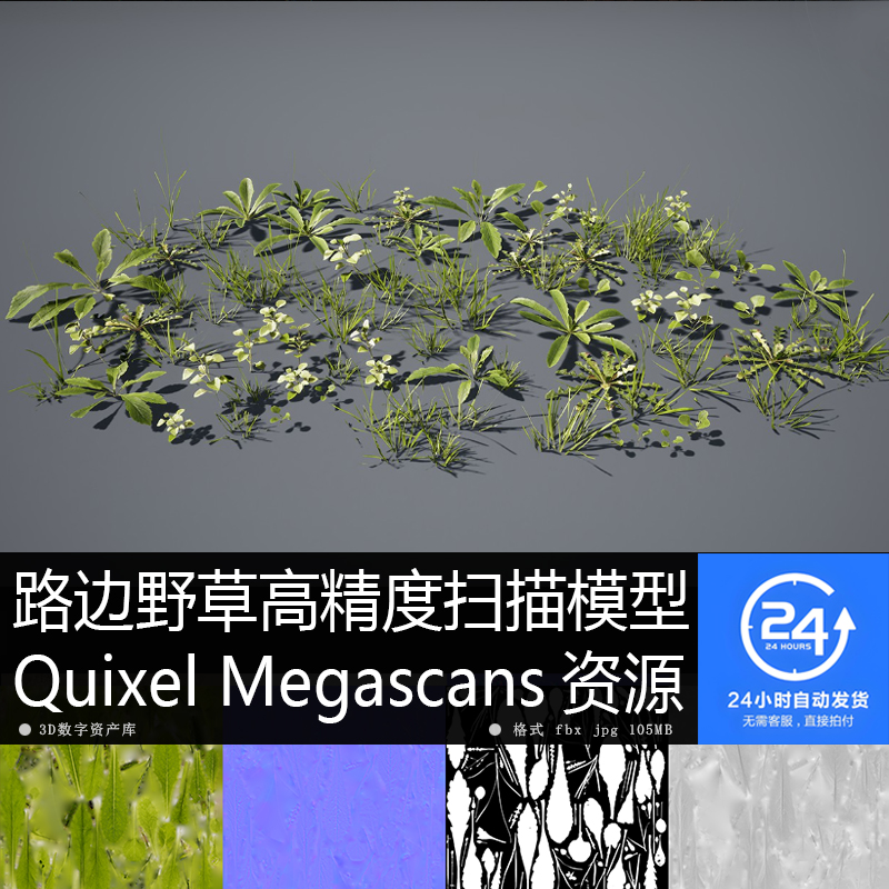 野草花草植物高清贴图模型材质PBR 4K fbx