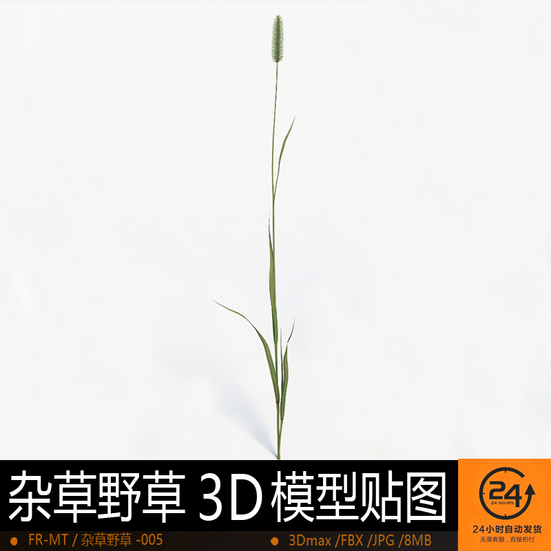 杂草野草-005模型3DMAX环境效果图影视游戏次世代场景地形建模