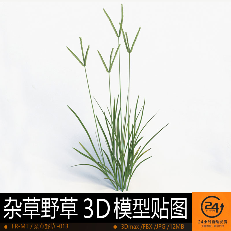 杂草野草-013模型3DMAX环境效果图影视游戏次世代场景地形建模