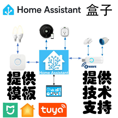 HomeAssistant 盒子 HA智能家居网关 含Home assistant技术服务