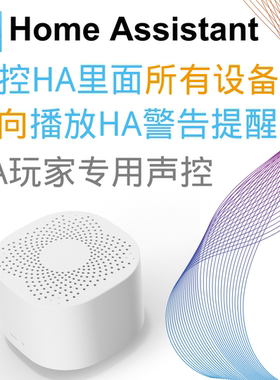 Home Assistant智能家居HA服务器专用 配合HA盒子声控全屋设备