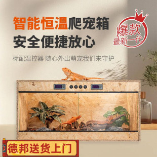 实木双温控鬃狮陆龟蛇守宫蜥蜴芦丁鸡智能恒保温爬宠虫玻璃饲养箱