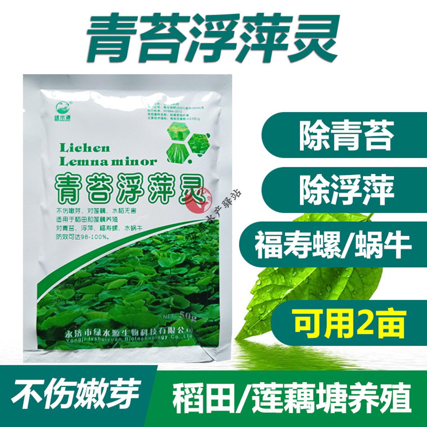 青苔浮萍灵藕塘稻田养殖浮萍一喷灵青苔净速杀福寿螺蜗牛不伤嫩芽
