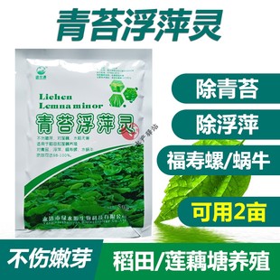 青苔浮萍灵藕塘稻田养殖浮萍一喷灵青苔净速杀福寿螺蜗牛不伤嫩芽