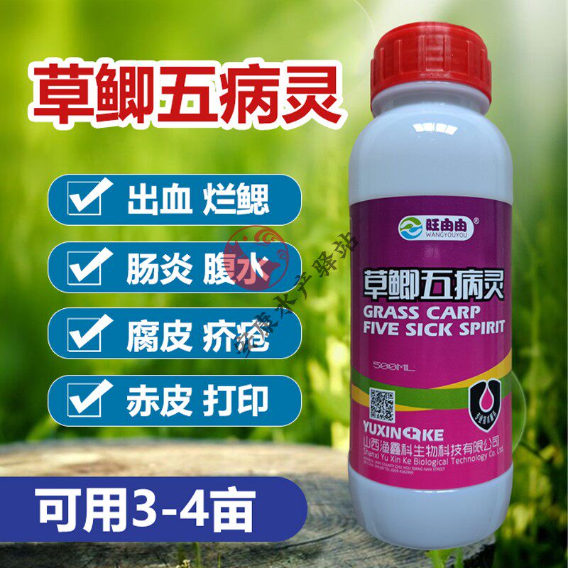 草鲫五病灵四大家鱼出血烂鳃肠炎腐皮烂身康赤皮打印水产养殖鱼药