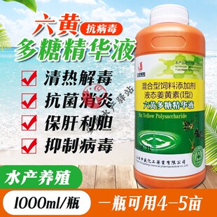 六黄抗病毒精华液鱼虾蟹出血烂鳃保肝护胆五黄三黄散水产养殖鱼药