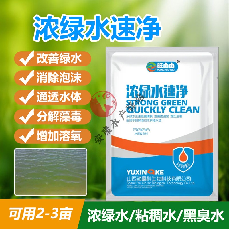 浓绿水速净水产养殖鱼塘老绿水消除黑臭水粘稠水泡沫油膜净化水质