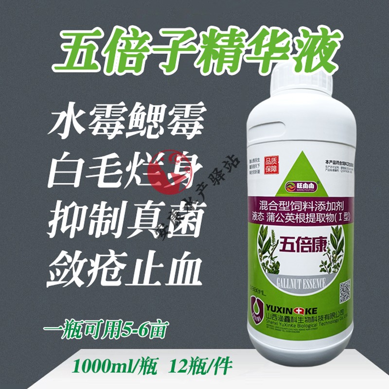 五倍子精华液水产养殖水霉病专治水质调节剂