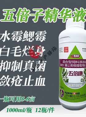 五倍子精华液水产养殖水霉病专治鱼药白毛病出血烂鳃烂身水霉腐皮
