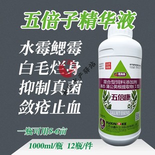 五倍子精华液水产养殖水霉病专治鱼药白毛病出血烂鳃烂身水霉腐皮