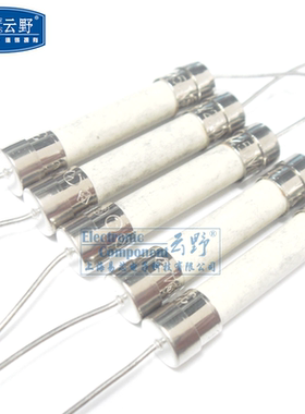 【高科美芯】 云野F快熔陶瓷保险丝6*32mm 保险管 圆柱型 带脚6X3