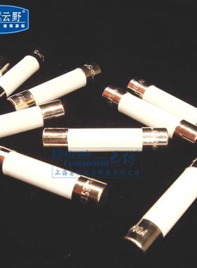 【高科美芯】 陶瓷保险丝 F快熔保险管6*32mm 圆柱型 无脚6X32