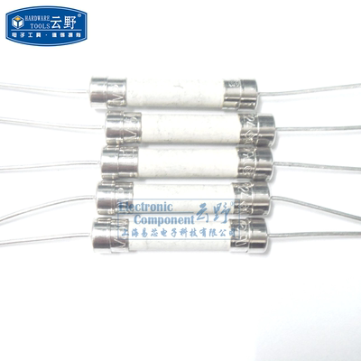 【高科美芯】 快熔F陶瓷保险丝6*32 保险管 圆柱型带脚6X32mm 20A