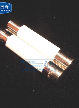 【高科美芯】 云野陶瓷保险丝 T慢熔保险管6*32mm 圆柱型无脚6X32