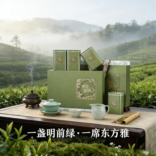 春茶茶叶包装礼盒空盒半斤一斤装毛尖明前龙井碧螺春绿茶礼盒定制