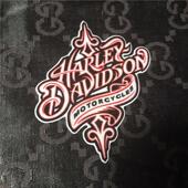 适用于哈雷精神美国改装 哈雷摩托车身贴外饰改装