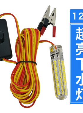 抄网杆灯12V电瓶照鱼诱鱼灯