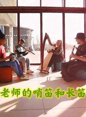 孩老师哨笛/长笛课-哨笛学习爱尔兰木长笛教学网课线上线下精品课