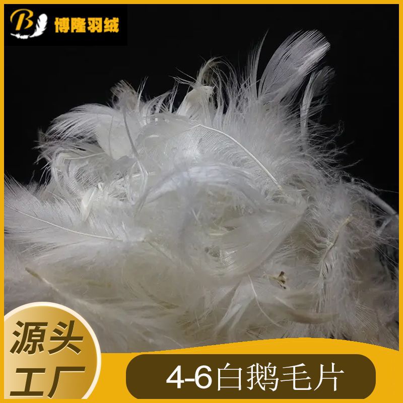 4-6水洗白鹅毛片用于抱枕沙发枕芯床垫羽绒羽毛羽绒棉厂家供散装