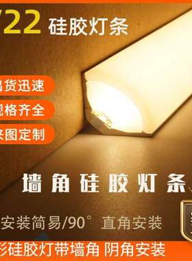 LED硅胶双色套管V2010扇形弧面90度发光灯条8MM霓虹灯灯带墙角灯