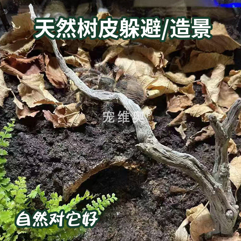 爬虫造景守宫蜥蜴蛇饲养箱专用天然树皮蜘蛛蝎子生态躲避造景,宠物/宠物食品及用品,爬宠躲避/造景,淘宝优惠券,粉丝福利购,淘宝优惠卷