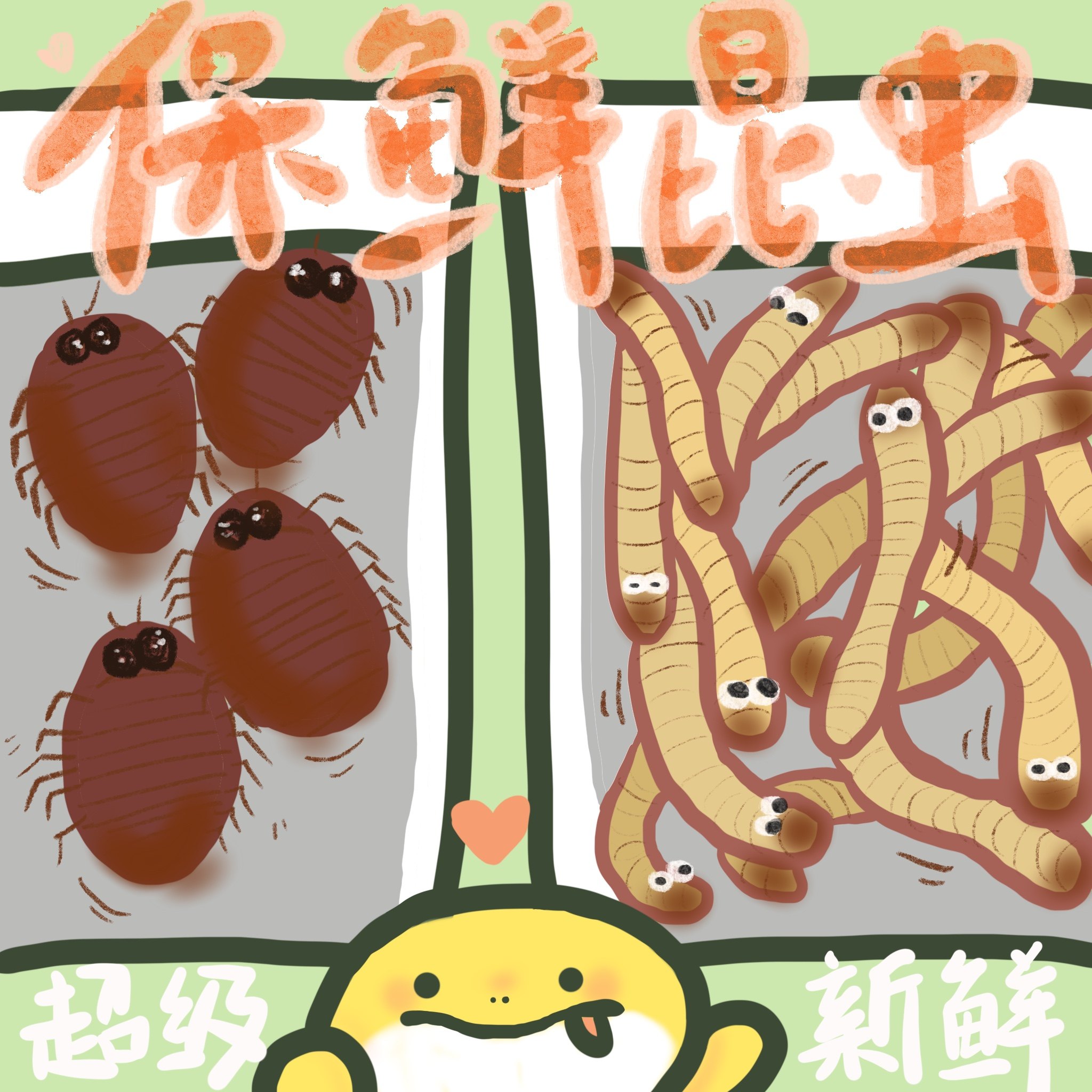守宫哥哥保鲜饲料爬虫仓鼠乌龟