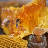 大凉山土蜂蜜纯正原味农家自产四川木桶结晶液态百花蜜500g装