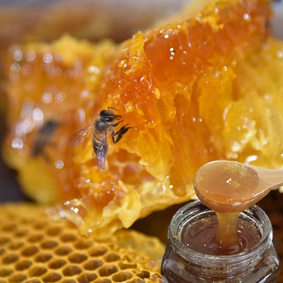 野生土蜂蜜农产品天然纯正百花蜜