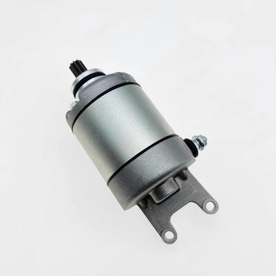 适用比亚乔GTS300VESPA300 X7启动电机马达SR250 300龙嘉VMAX300