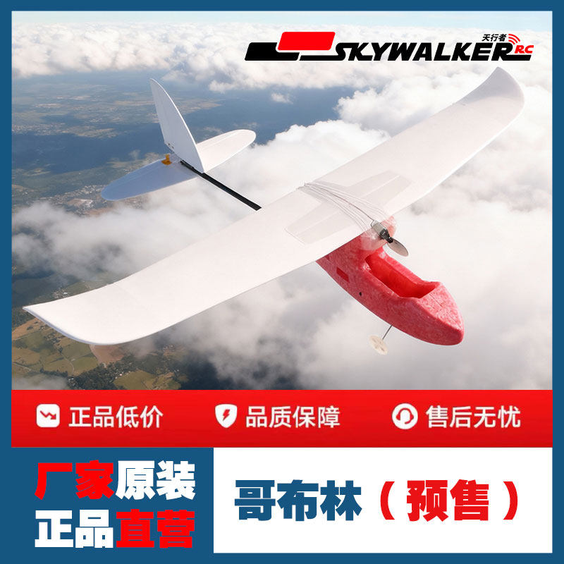 天行者小哥布林 固定翼 新手练习青少年比赛航模机型