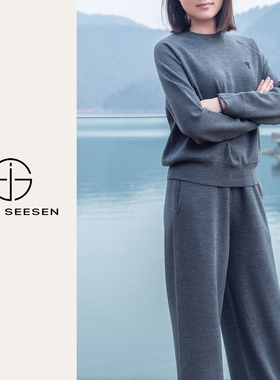 扬子SUPER120'S精纺羊毛高端空气层休闲针织卫衣5010