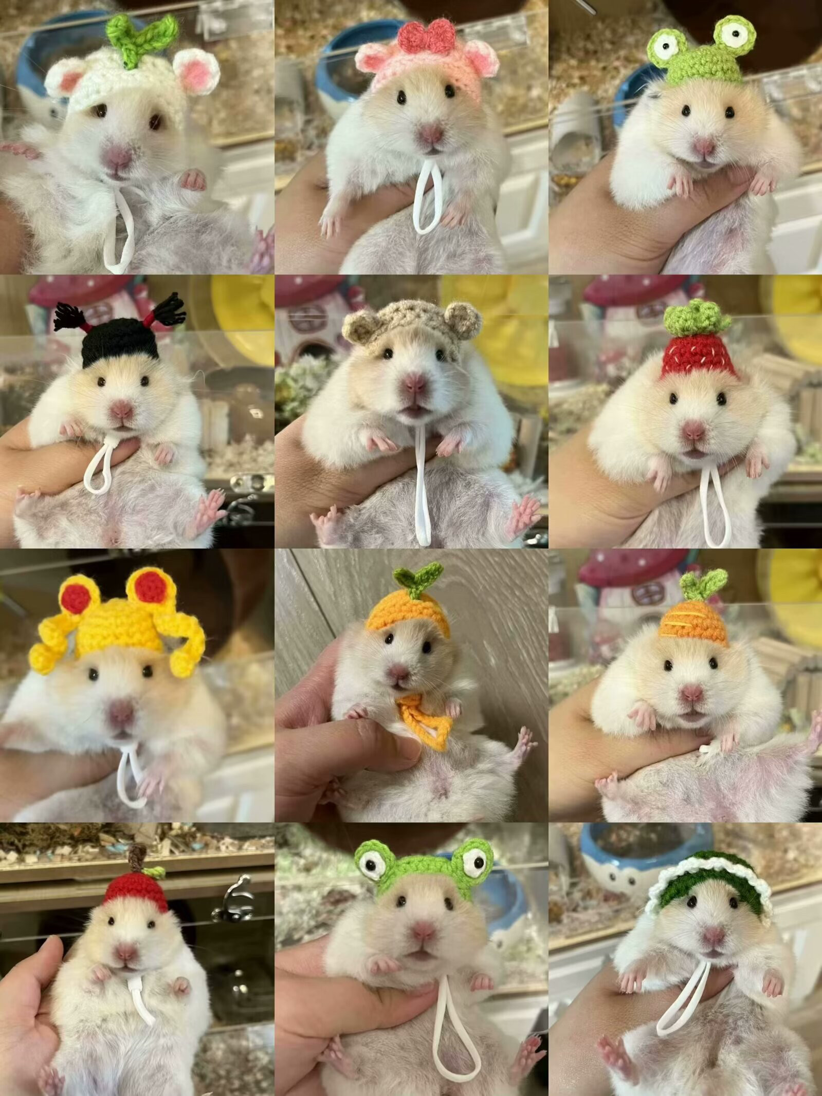 福利仓鼠金丝熊帽子宠物帽花枝鼠头饰手工钩织9.9随机一个