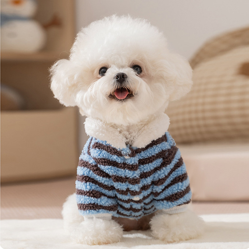 高级感狗狗衣服颗粒绒衣秋冬款保暖两脚衣小型犬比熊泰迪宠物卫衣