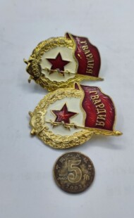 保真苏联近卫军证章  报价为一个