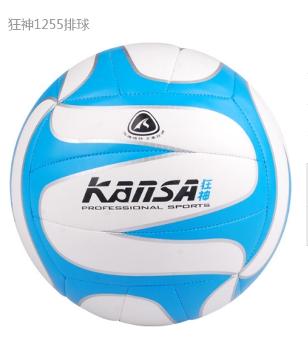 Ballon de volley - Ref 2010950 Image 1