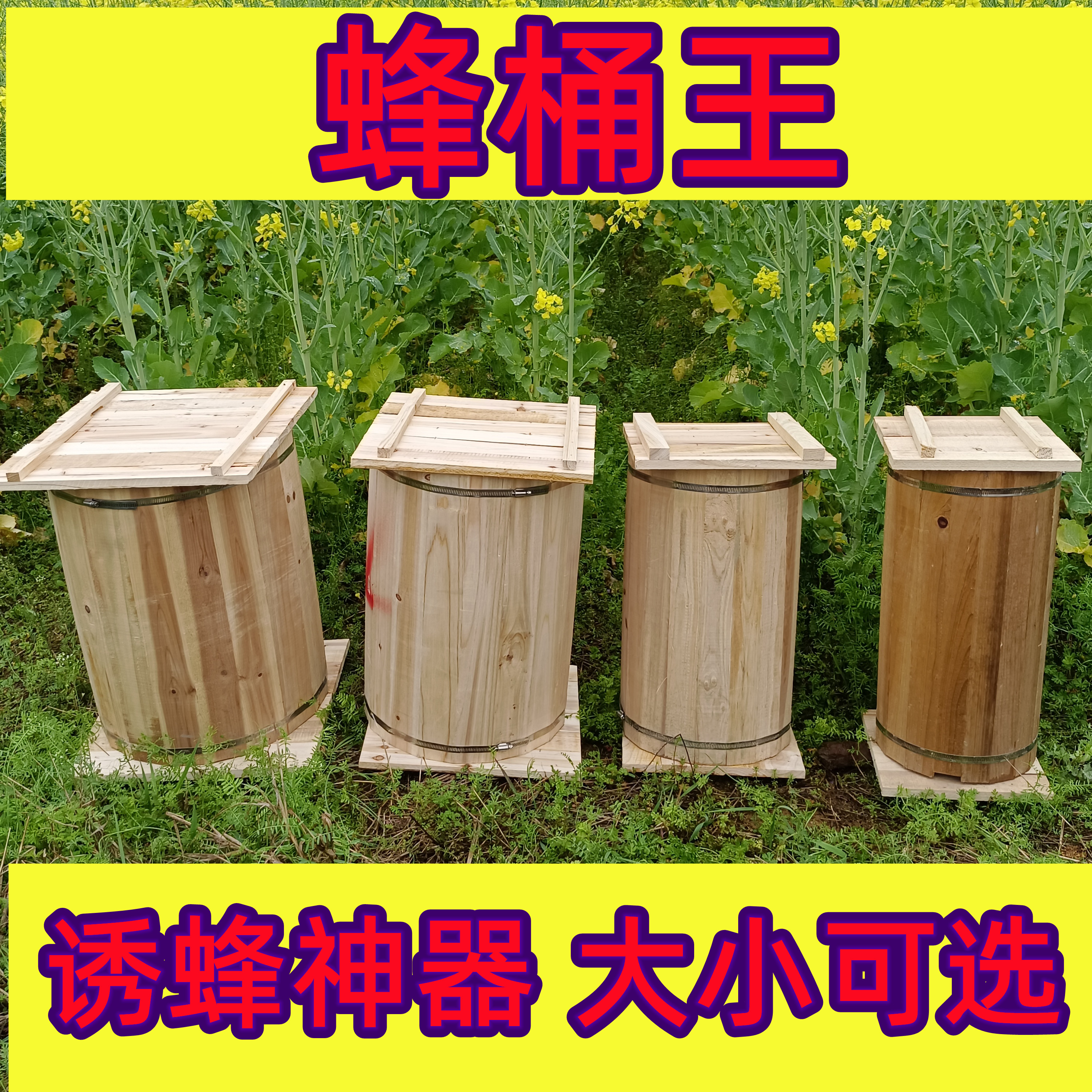 蜂桶养殖新款土养蜜蜂群圆桶招引诱分锋工具刺高山峡峰通疯薄款桶