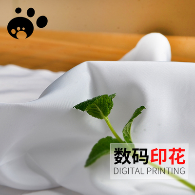 75D平纹漂白仿记忆羽绒服面料