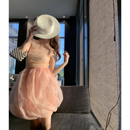 可爱少女抹胸价格 可爱少女抹胸图片 星期三