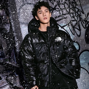 25新款 TheNorthFace北面羽绒服男女700蓬鹅绒保暖棉羽外套8DQB