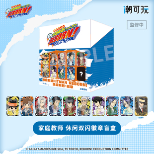 潮可玩 家庭教师reborn正版休闲系列双闪徽章盲盒沢田纲吉27周边